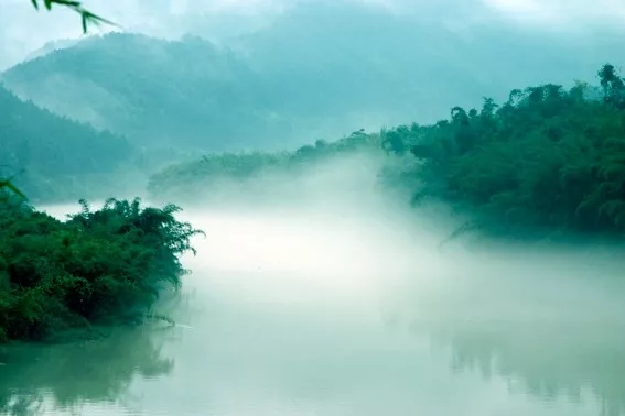 640.webp (19).jpg