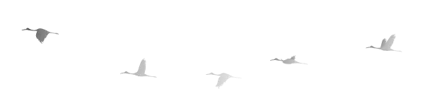 微信截图_20180329151604.png