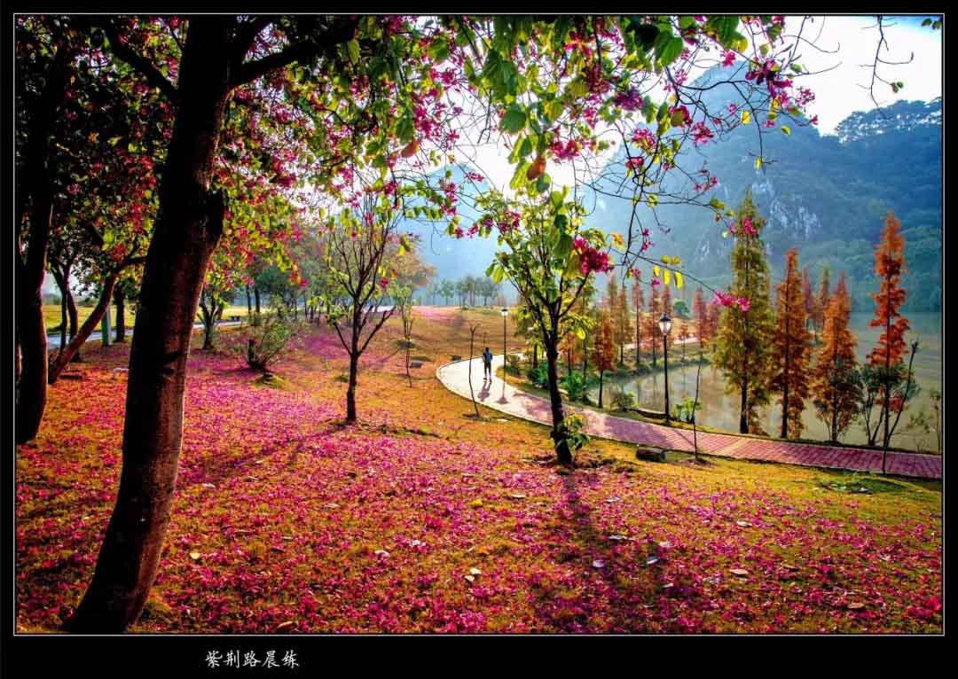 640.webp (19).jpg