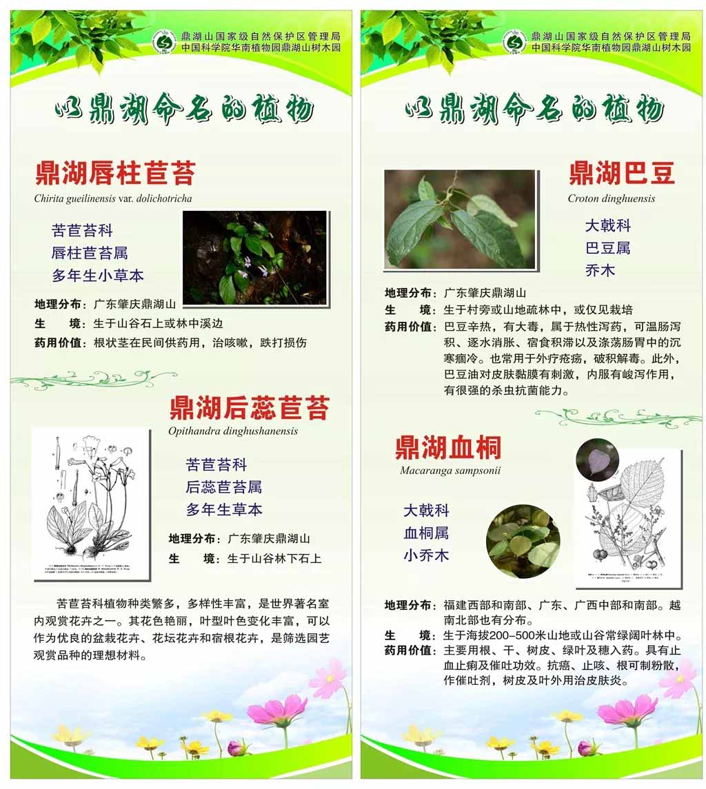 640.webp (8).jpg