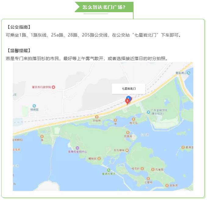 微信截图_20190110174802.png