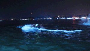 09.gif