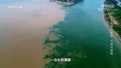 微信图片_20200710145740.gif