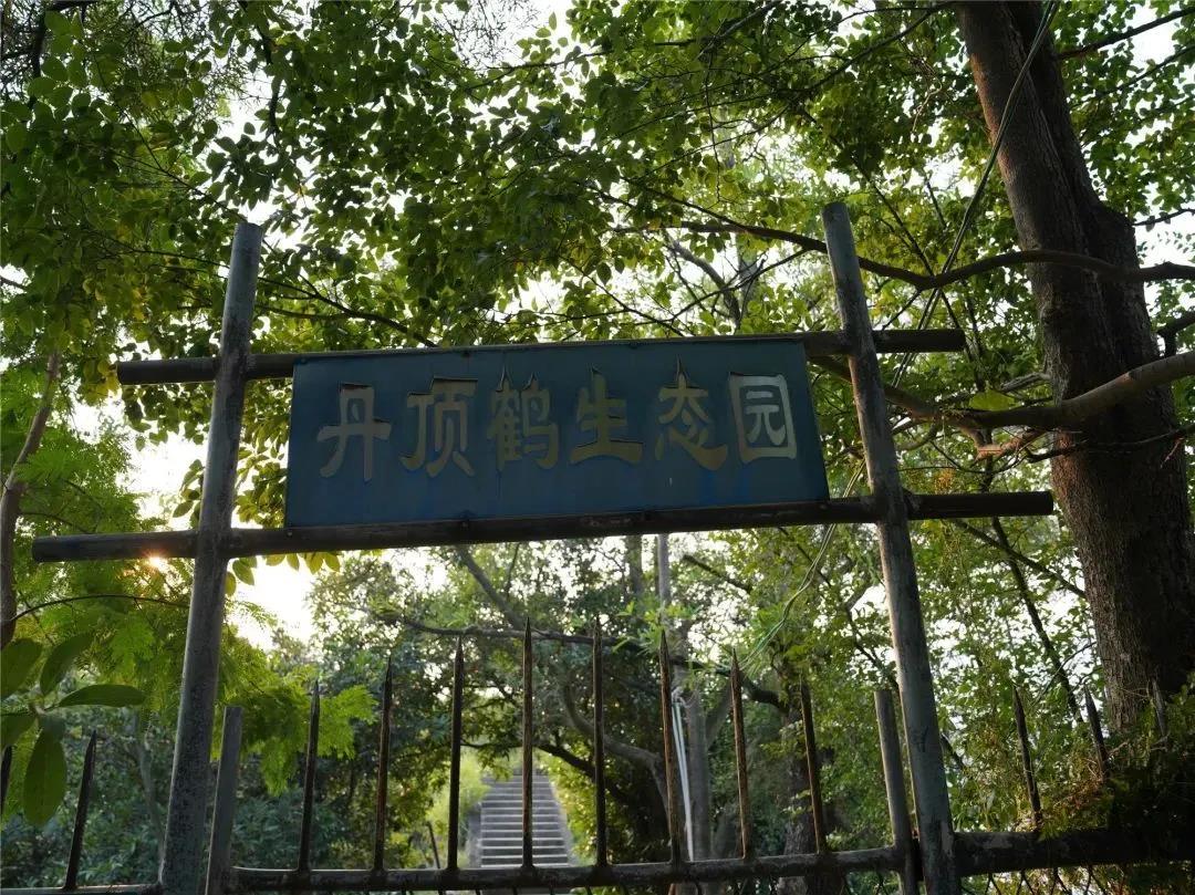 微信图片_20200903114940.jpg